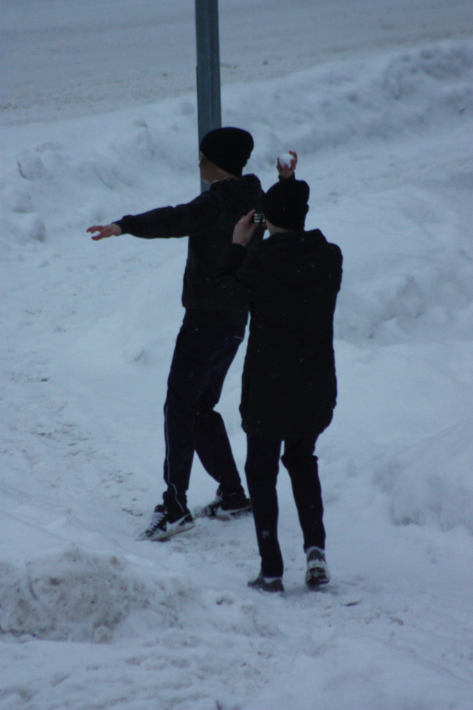 Snöboll 1